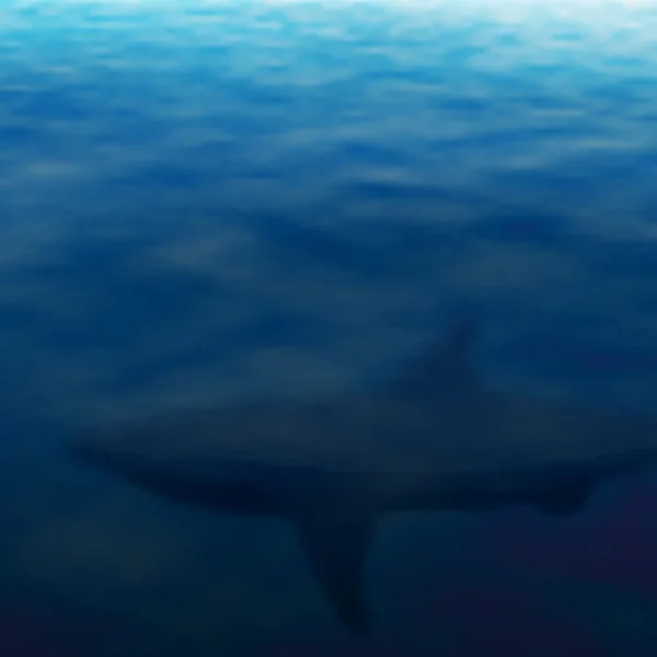 Tiburón al acecho — Archivo Imágenes Vectoriales
