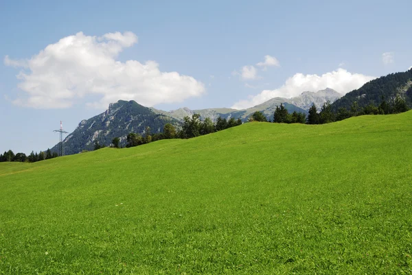 Alpejska zieleń — Zdjęcie stockowe