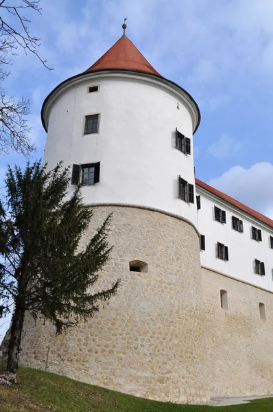 在斯洛文尼亚的 Mokrice 城堡 — 图库照片