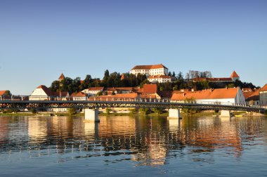 The Ptuj castle clipart