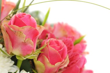 Pembe gülleri kapat