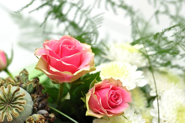 Крупним планом рожеві троянди — стокове фото