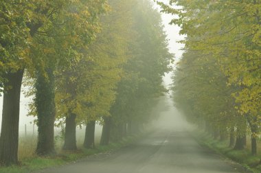 sisli avenue