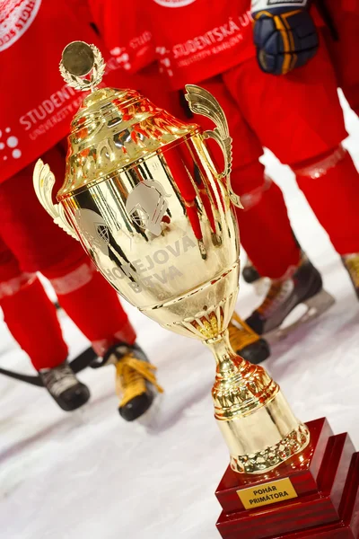 University hockey league final match — Stock Photo, Image