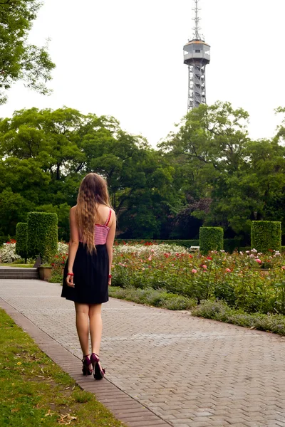 Promenade à travers le parc — Photo