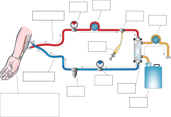血液透析图库矢量图片 免版税血液透析插图 Depositphotos