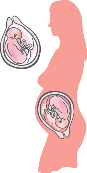 Беременная женщина и ребенок — стоковый вектор