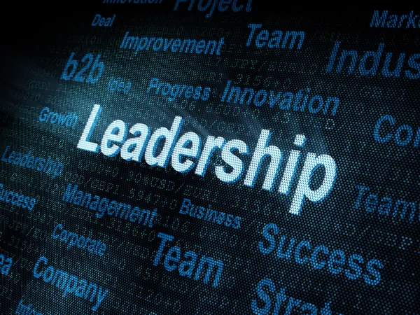 Pixeled word Leadership sur écran numérique — Photo