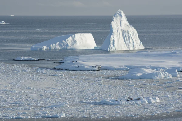Icebergs cerca de la isla . — Foto de Stock