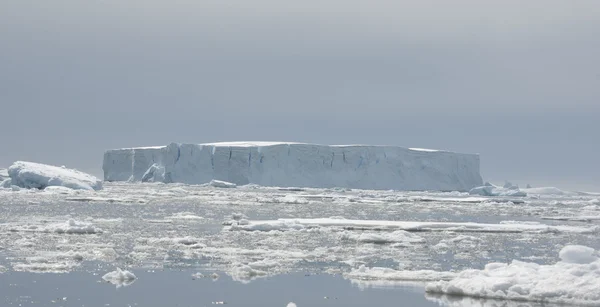 Tabellarischer Eisberg. — Stockfoto