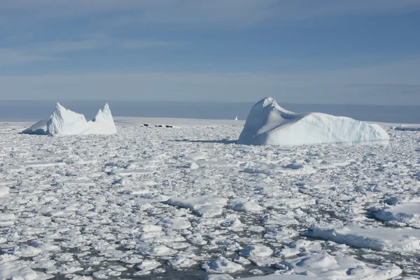 Iceberg nell'Oceano meridionale - 1 . — Foto Stock