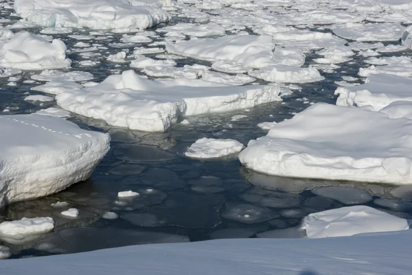 Neve e gelo da Antártida . — Fotografia de Stock