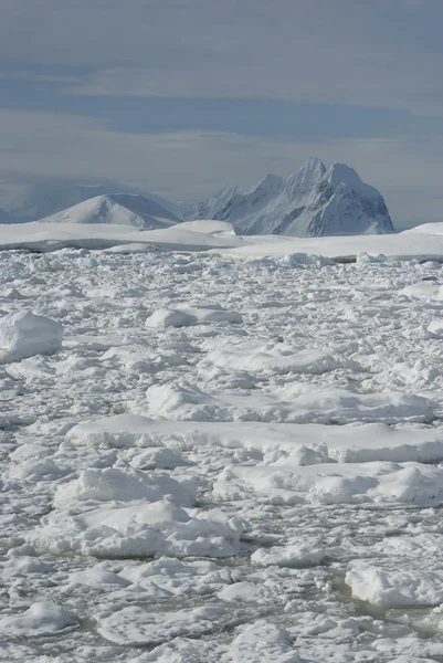 De bergen van de Antarctische wateren. — Stockfoto