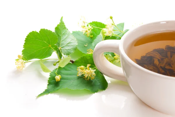 Чашка с зеленым чаем, с листочками и липовыми цветами — стоковое фото