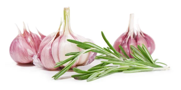 Stock image Garlic and rosemary leaf