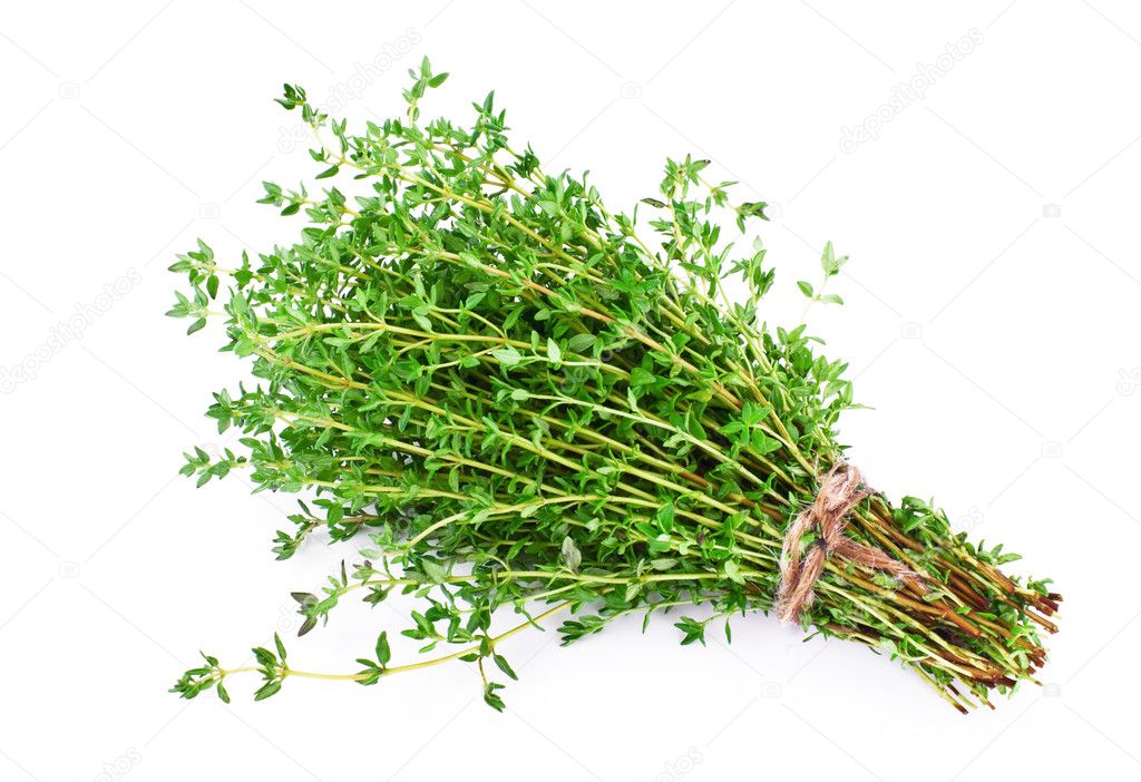 Thyme isolated on white background