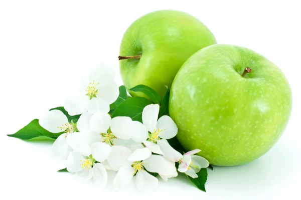 Some ripe, green apples and white flowers . — Stock Photo, Image