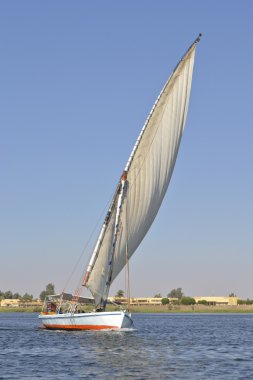 Sailing felluca on the river Nile clipart