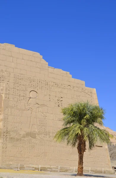 Hieroglyphic carvings on an egyptian temple wall — Stock Photo, Image