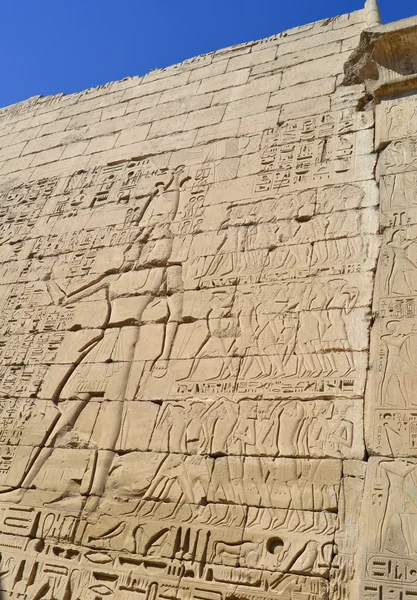 Hieroglificznego rzeźby na ścianie świątyni egipskiej — Zdjęcie stockowe