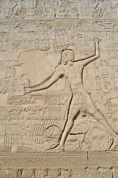 Sculptures hiéroglyphiques sur un mur de temple égyptien — Photo