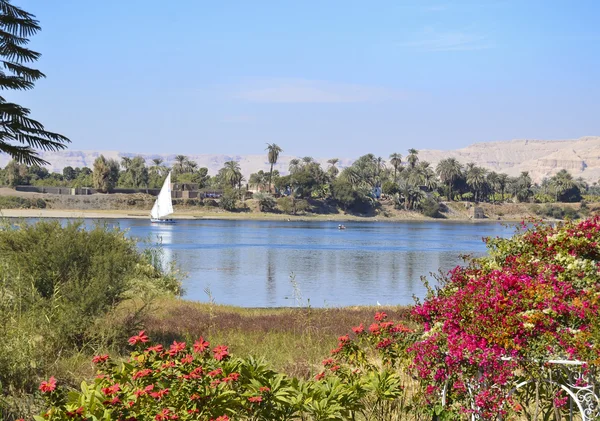 Velero en el Nilo — Foto de Stock