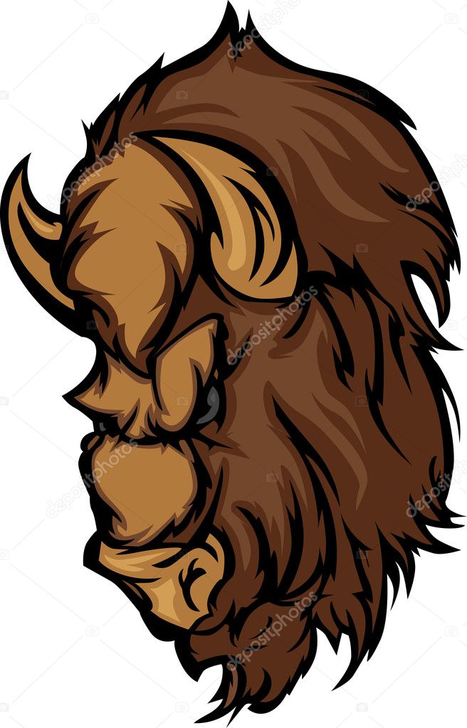 Buffalo Bison Mascot Head Cartoon