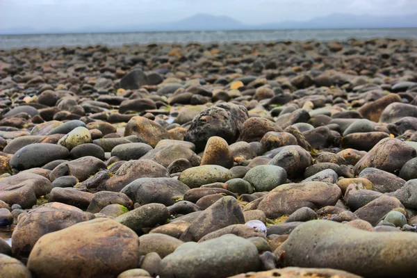 Mokré kameny na pláži — Stock fotografie