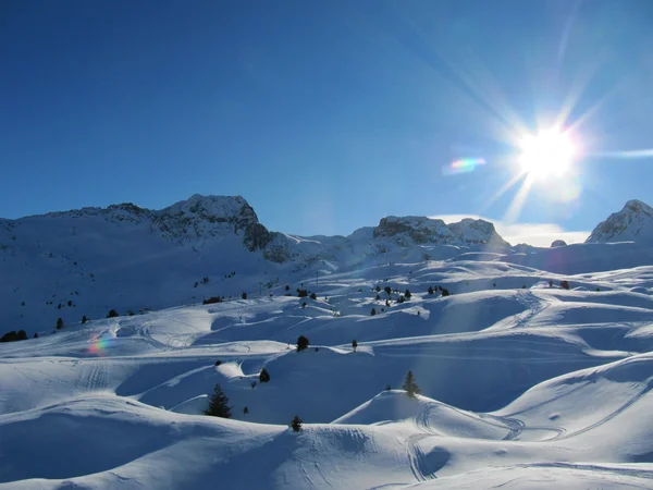 Scena alpina innevata — Foto Stock