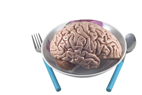 Human brain as food with spoon and fork, isolated — Stock Photo, Image