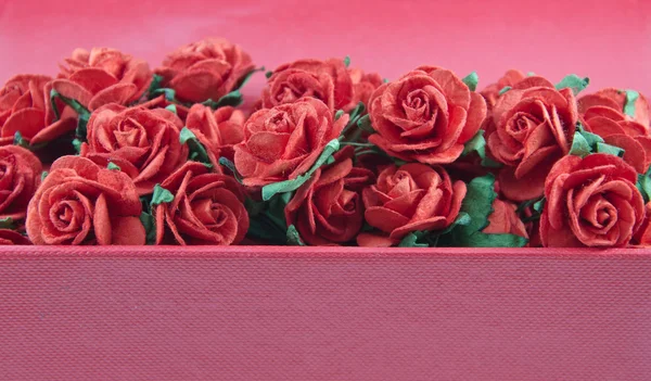 Piros rózsák, elszigetelt — Stock Fotó