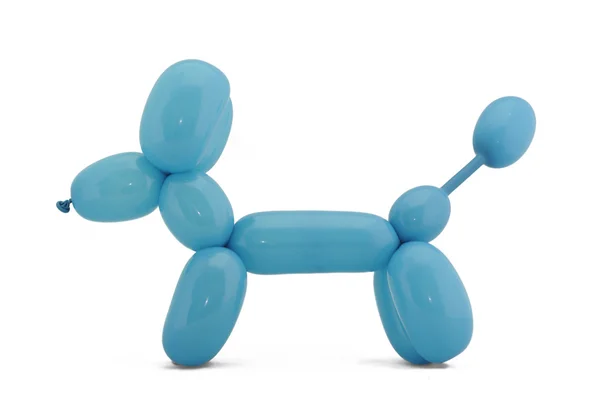 Ballon kutya Stock Kép