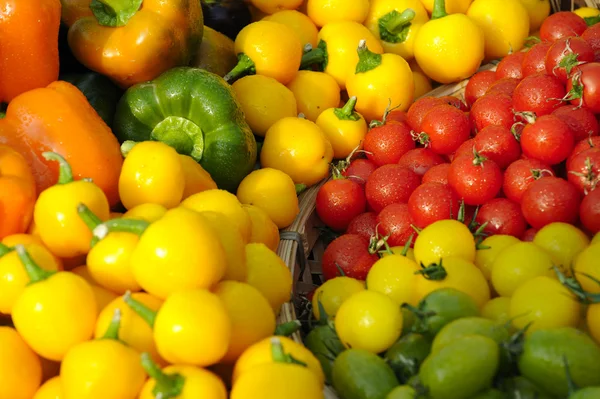 stock image Small Tomato