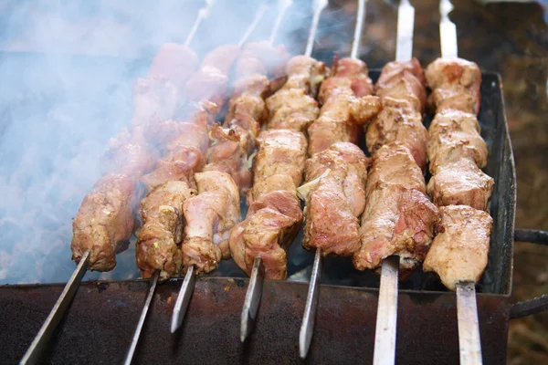 stock image Shashlik