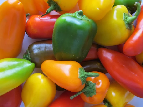 stock image Colorful peppers closeup