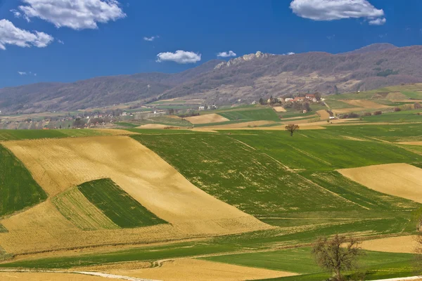 Prachtige groene landschap - velden en berg — Stockfoto