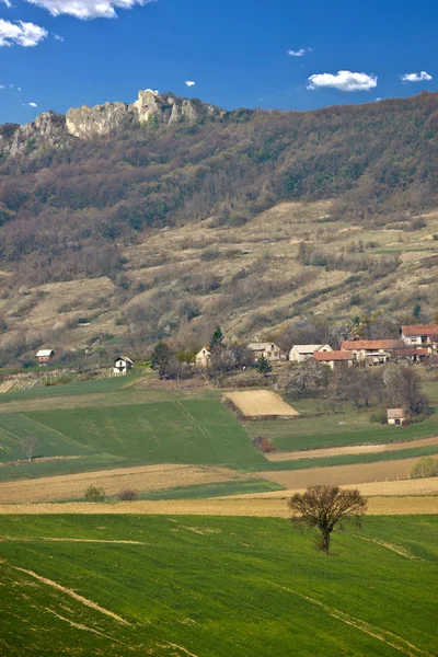 Frühlingshaft grüne Landschaft - Wiese und Berg — Stockfoto