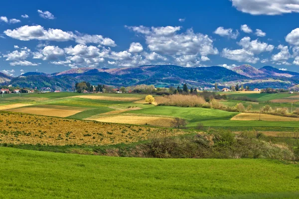 Красивый зеленый пейзаж под голубым небом — стоковое фото