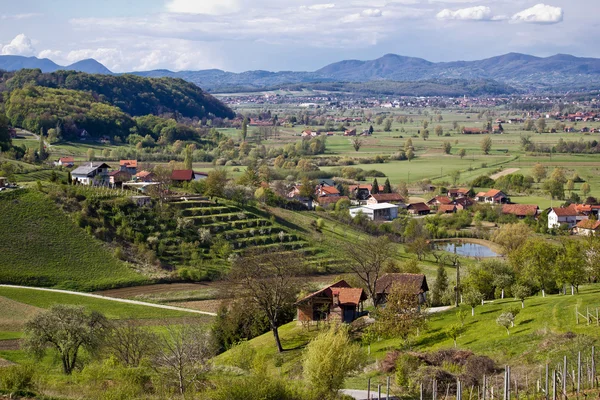 Paesaggio verde della regione di Zagorje — Foto Stock