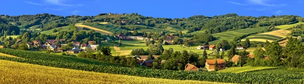 Grüne Landschaft villsge Landschaft, mit Mais und Heufeldern — Stockfoto