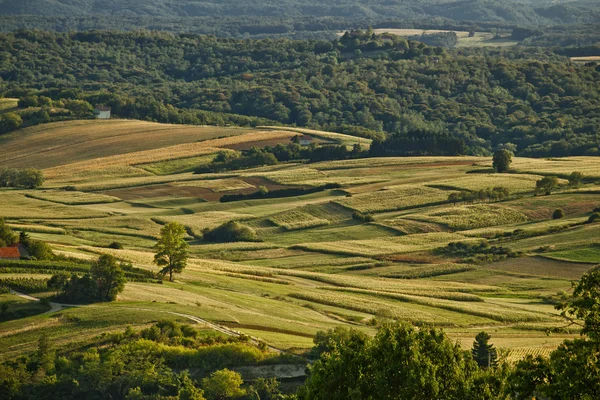 Idylliczna zielona dolina krajobrazy naturalne — Zdjęcie stockowe