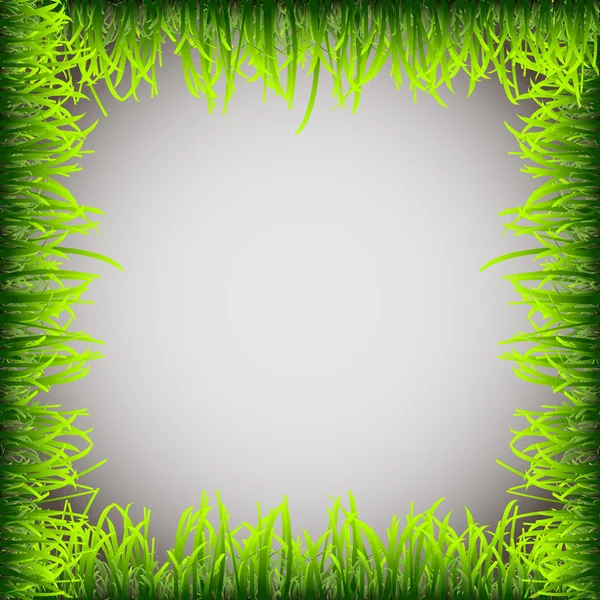 Telaio in erba — Vettoriale Stock