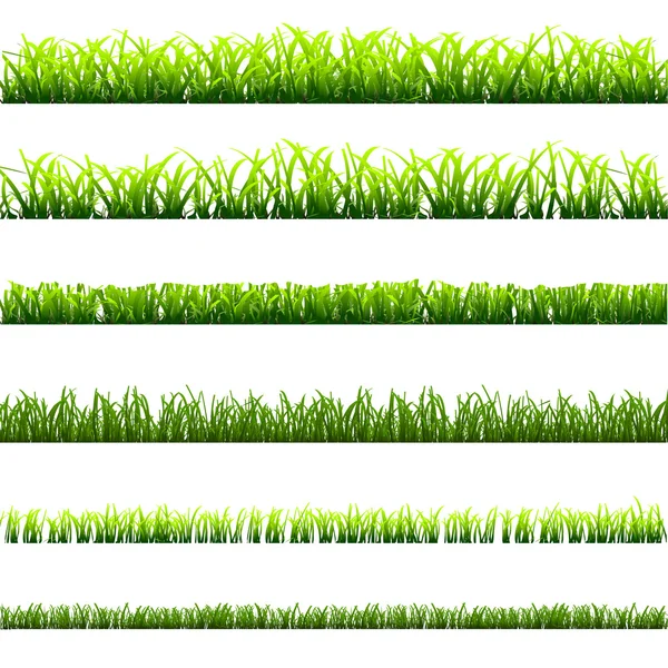 6 différents types d'herbe verte — Image vectorielle