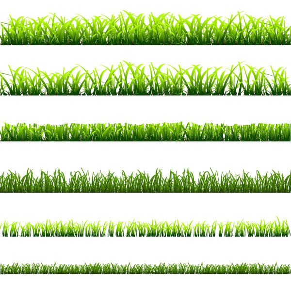 6 different types of green grass