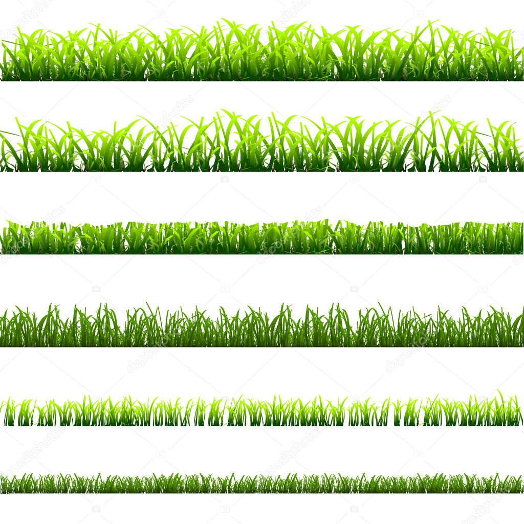 6 different types of green grass