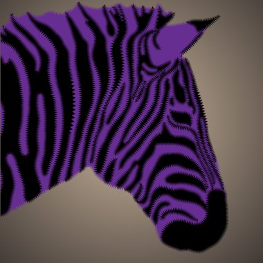 Creative portrait of zebra clipart