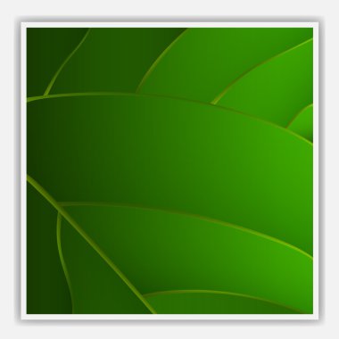 Creative leaf background clipart