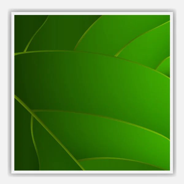 Creative leaf background — Stock Vector