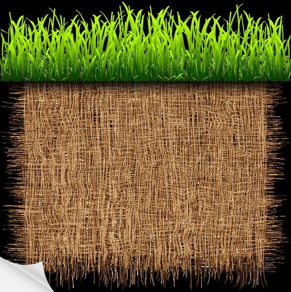 Eco achtergrond met groene gras — Stockvector