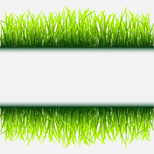 Cadre en herbe verte — Image vectorielle